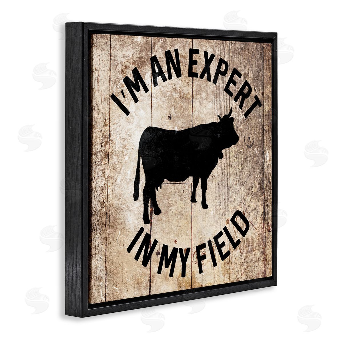 Expert In My Field Funny Cow Black Floating Frame Canvas Wall Art, Home Decor by Milli Villa