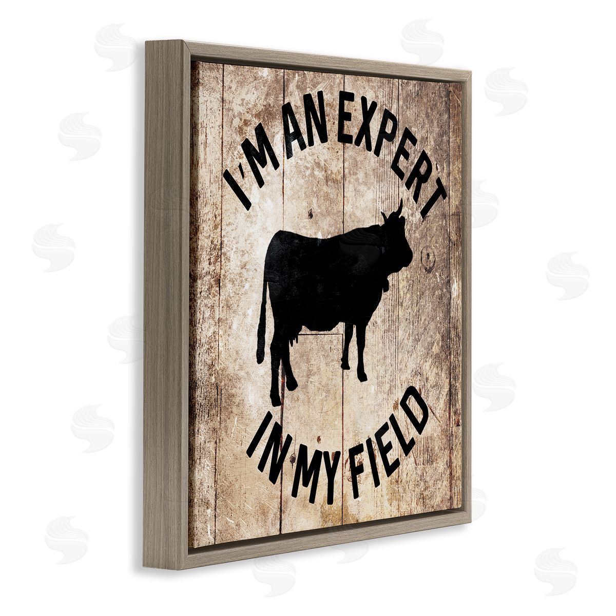 Expert In My Field Funny Cow Brown Floating Frame Canvas Wall Art, Home Decor by Milli Villa