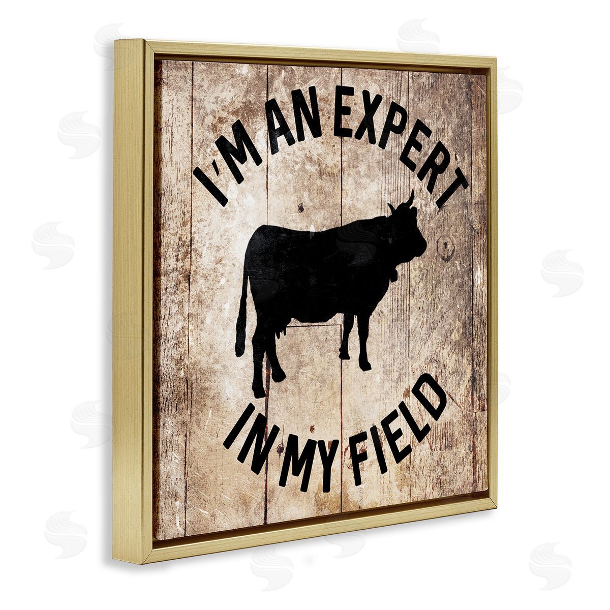Expert In My Field Funny Cow Gold Floating Frame Canvas Wall Art, Home Decor by Milli Villa