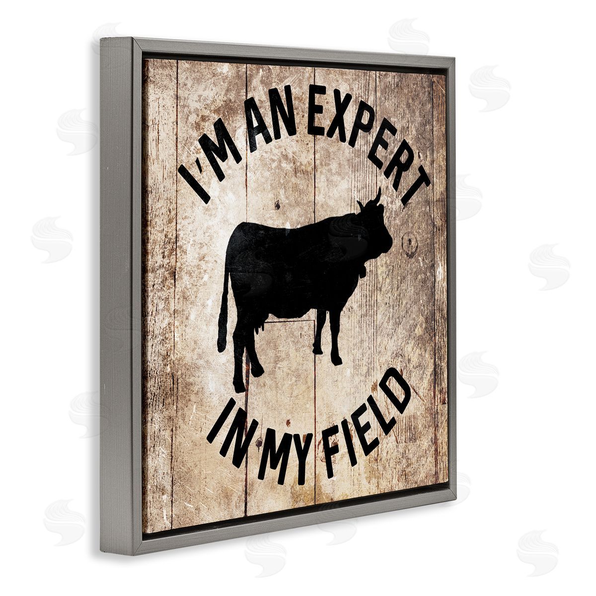 Expert In My Field Funny Cow Grey Floating Frame Canvas Wall Art, Home Decor by Milli Villa
