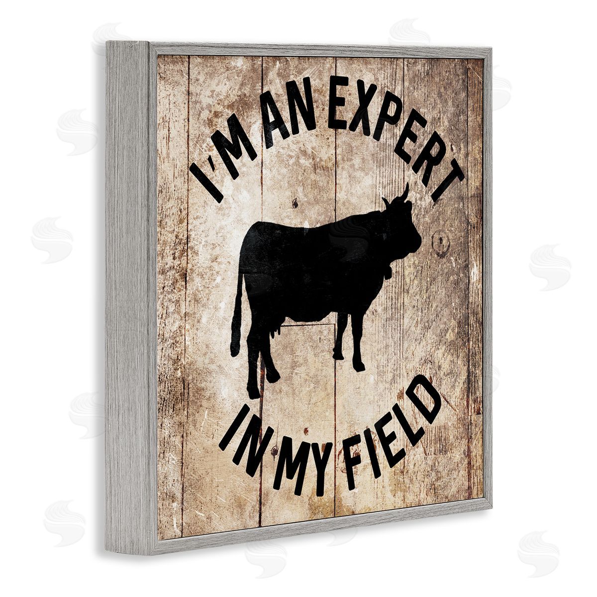 Expert In My Field Funny Cow Grey Frame Print Wall Art, Home Decor by Milli Villa