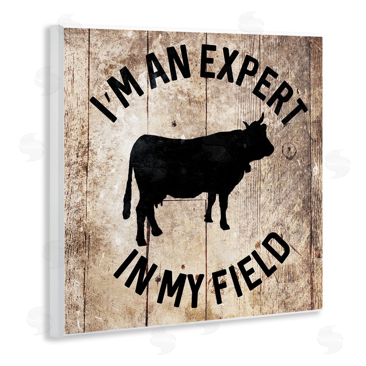 Expert In My Field Funny Cow Wood Plaque Wall Art, Home Decor by Milli Villa