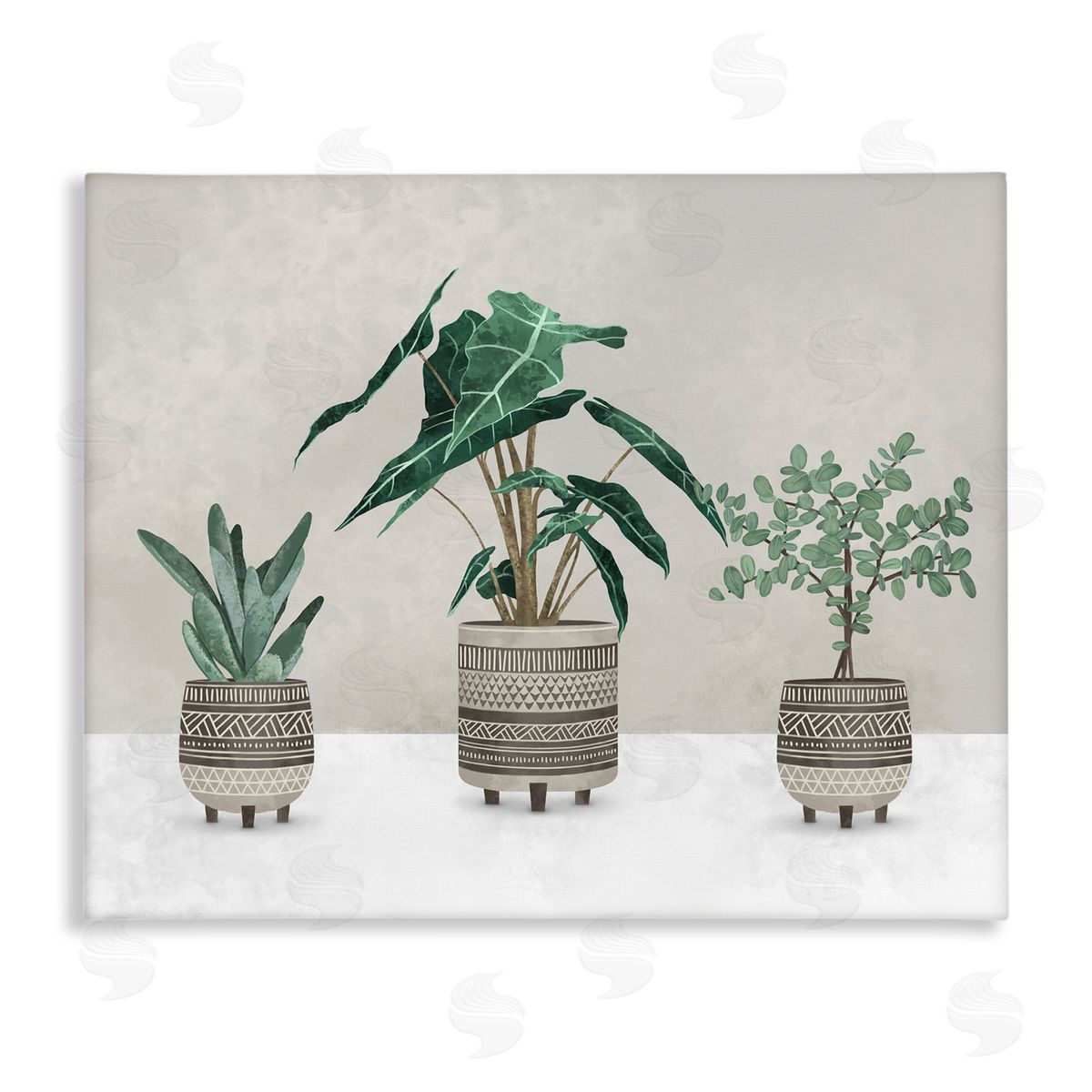 Plants In Patterned Pots Canvas Wall Art, Home Decor by Ziwei Li