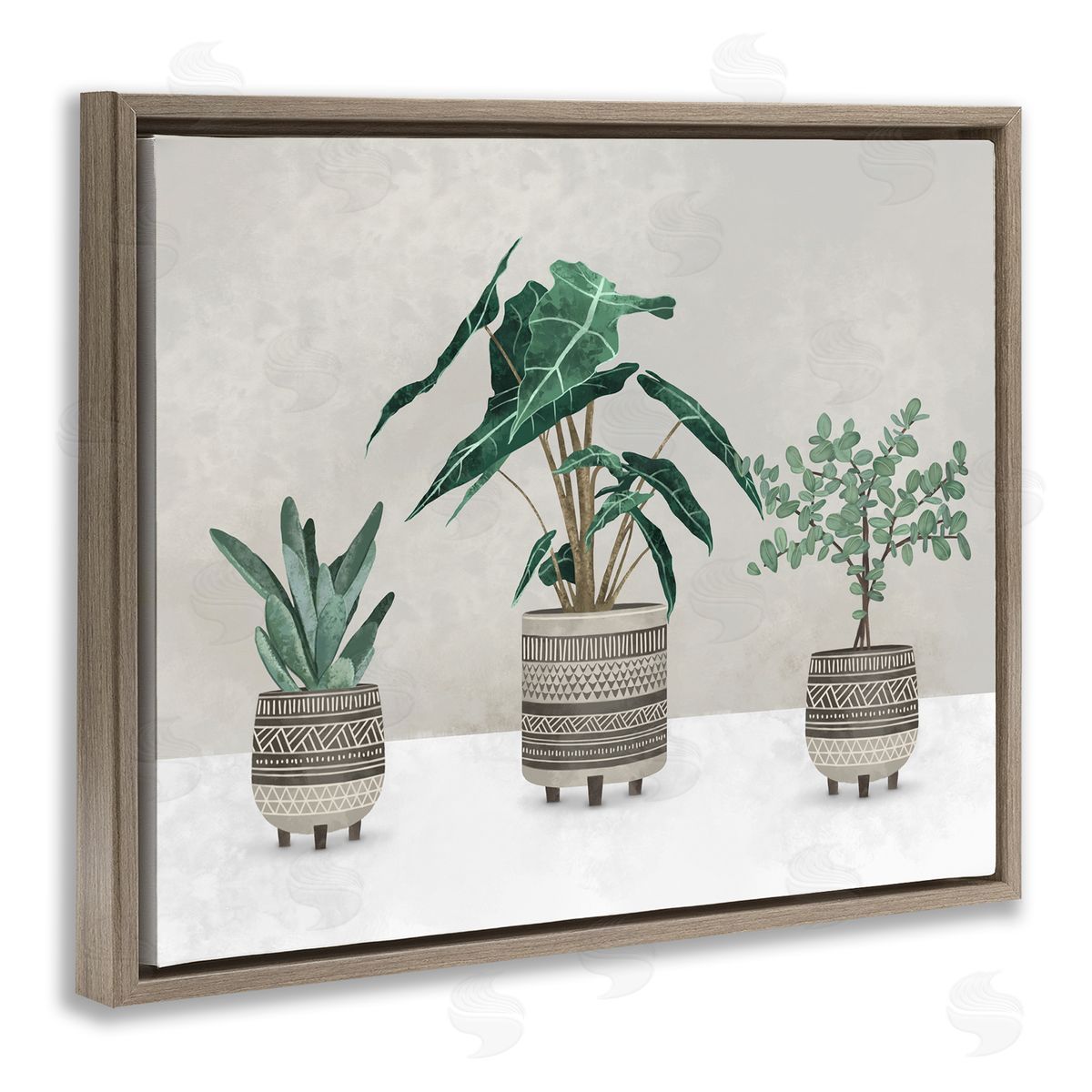 Plants In Patterned Pots Brown Floating Frame Canvas Wall Art, Home Decor by Ziwei Li