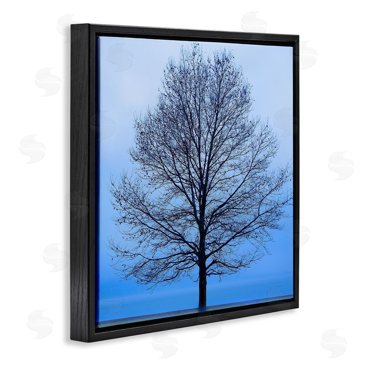 Winter Tree Blue Sky Black Floating Frame Canvas Wall Art, Home Decor by James McLoughlin