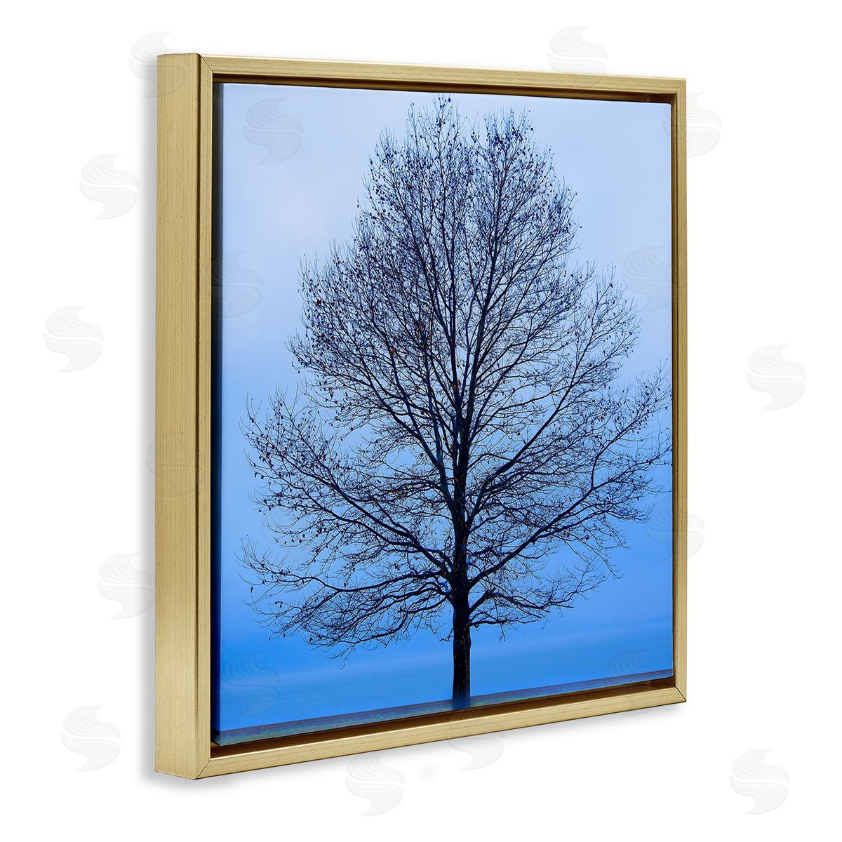 Winter Tree Blue Sky Gold Floating Frame Canvas Wall Art, Home Decor by James McLoughlin