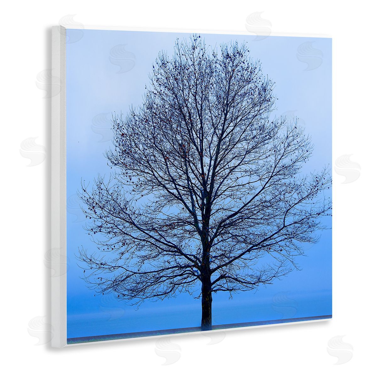 Winter Tree Blue Sky Wood Plaque Wall Art, Home Decor by James McLoughlin