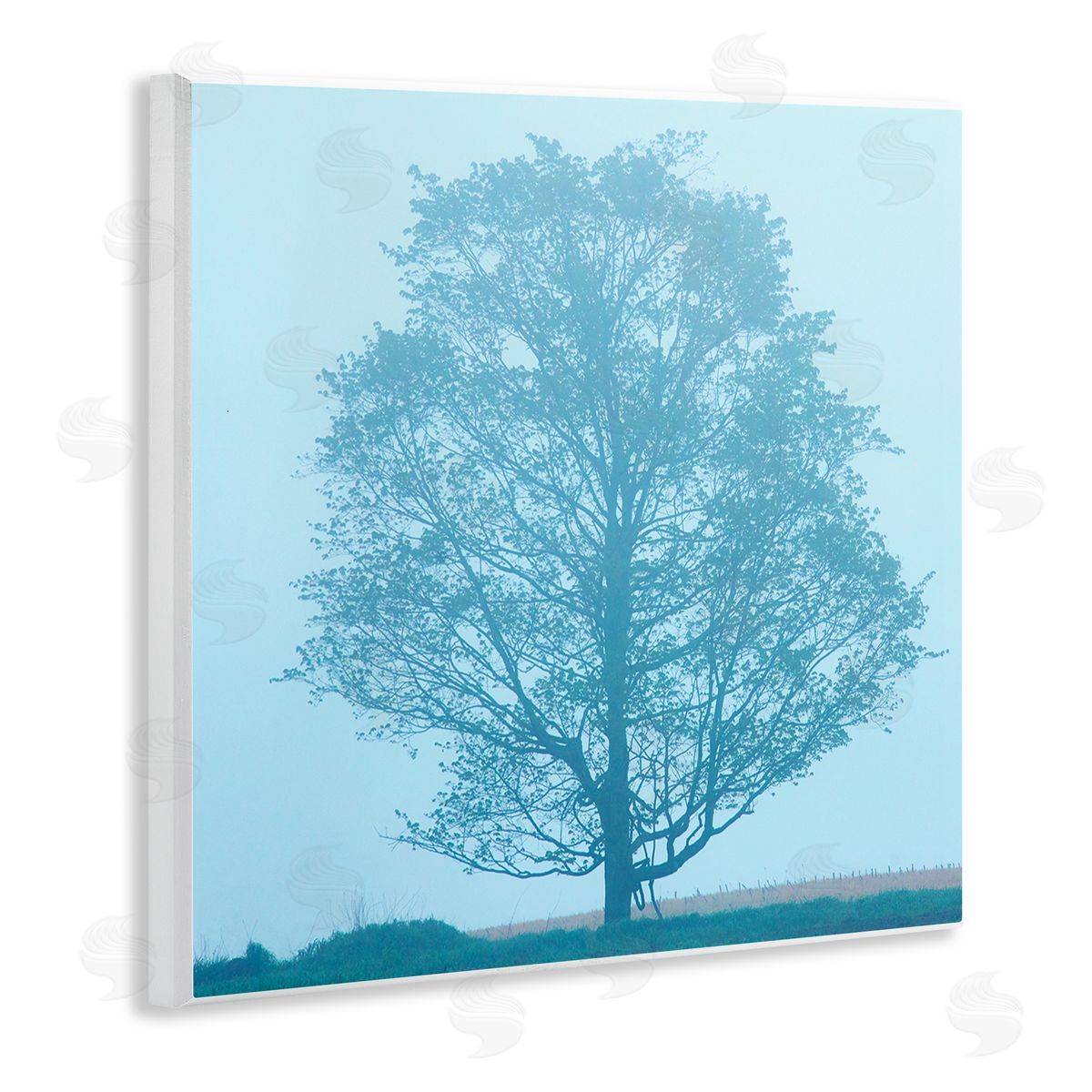 Spring Tree Blue Sky Wood Plaque Wall Art, Home Decor by James McLoughlin