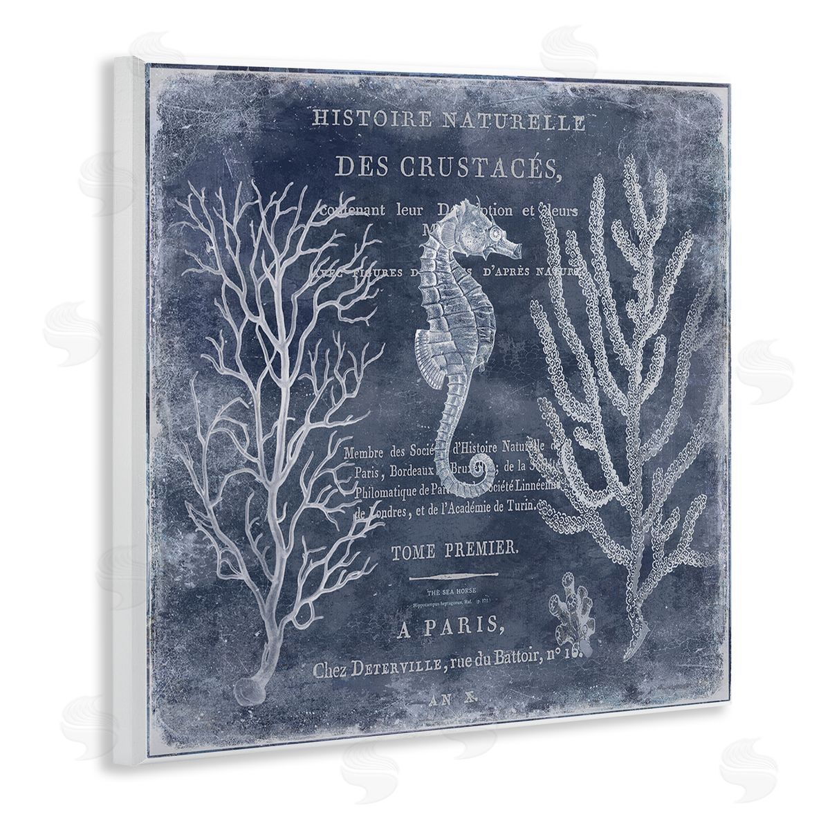 Vintage European Seahorse Wood Plaque Wall Art, Home Decor by Deborah Devellier