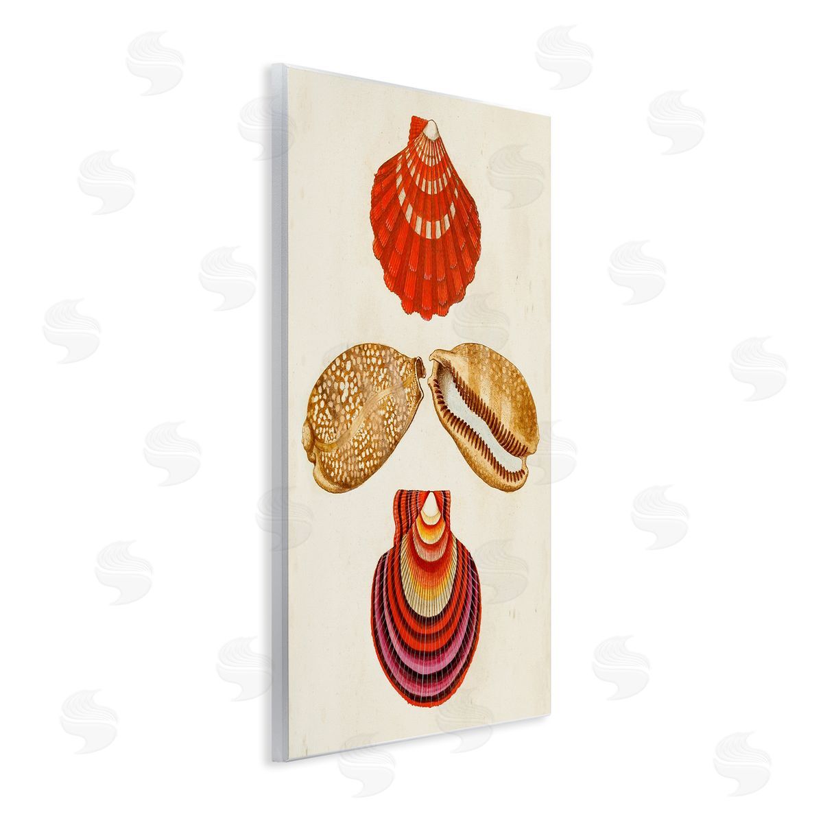 Antique Speckled Sea Shells Wood Plaque Wall Art, Home Decor by G.W. Knorr