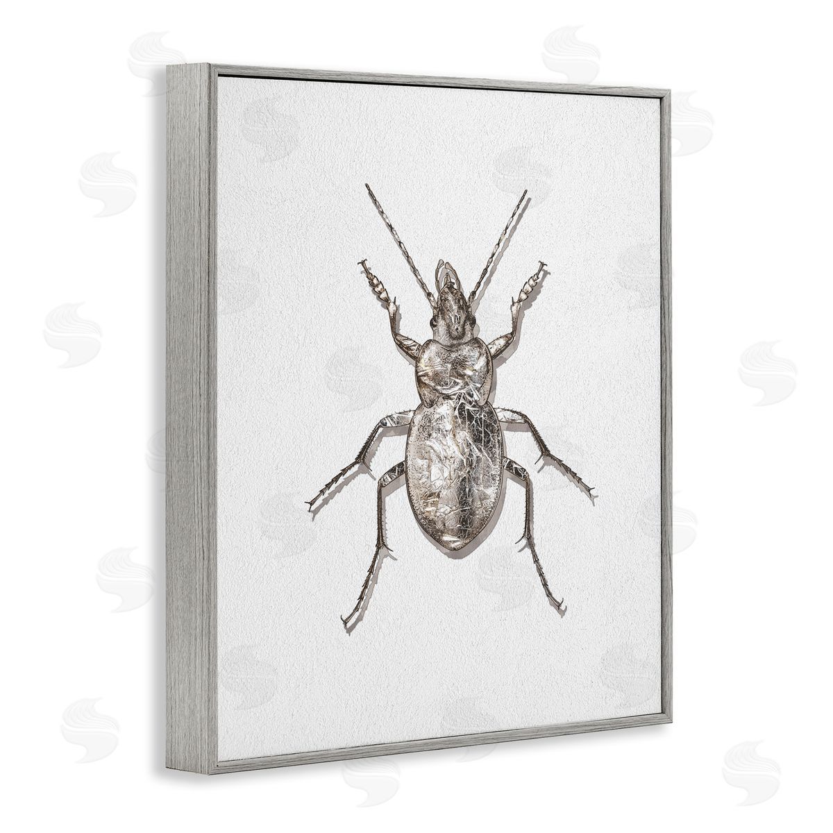 Textured Beetle Minimal Off-White Grey Frame Print Wall Art, Home Decor by Ziwei Li