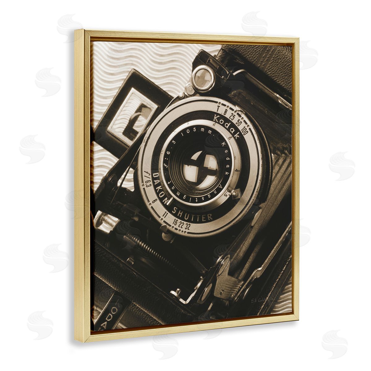 Vintage Camera Sepia Photograph Gold Floating Frame Canvas Wall Art, Home Decor by Ed Goldstein