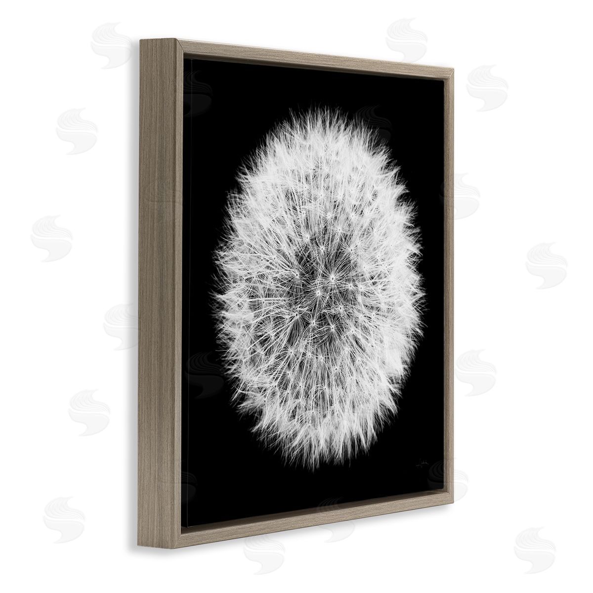 Dandelion Black & White Photograph Brown Floating Frame Canvas Wall Art, Home Decor by Aledanda