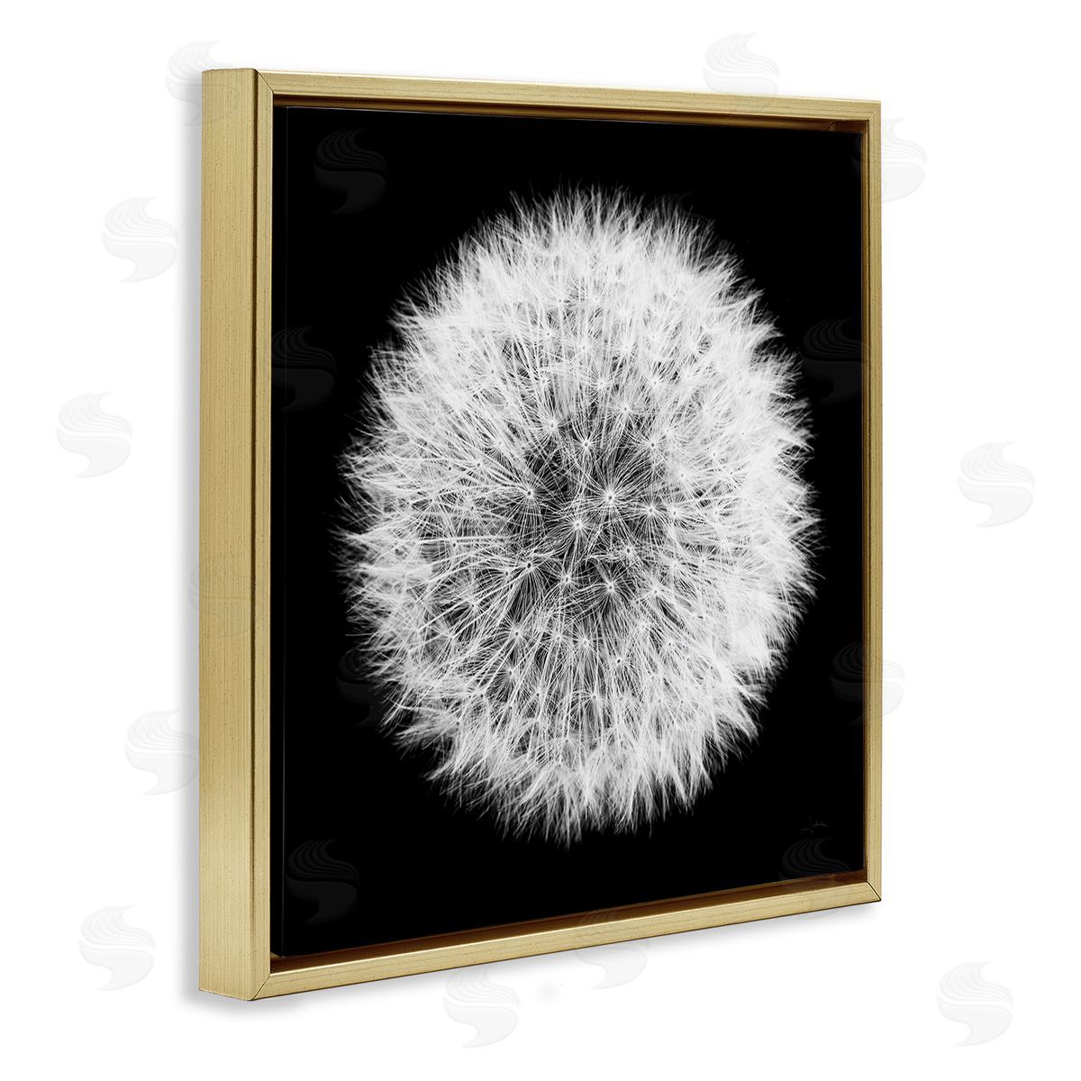 Dandelion Black & White Photograph Gold Floating Frame Canvas Wall Art, Home Decor by Aledanda
