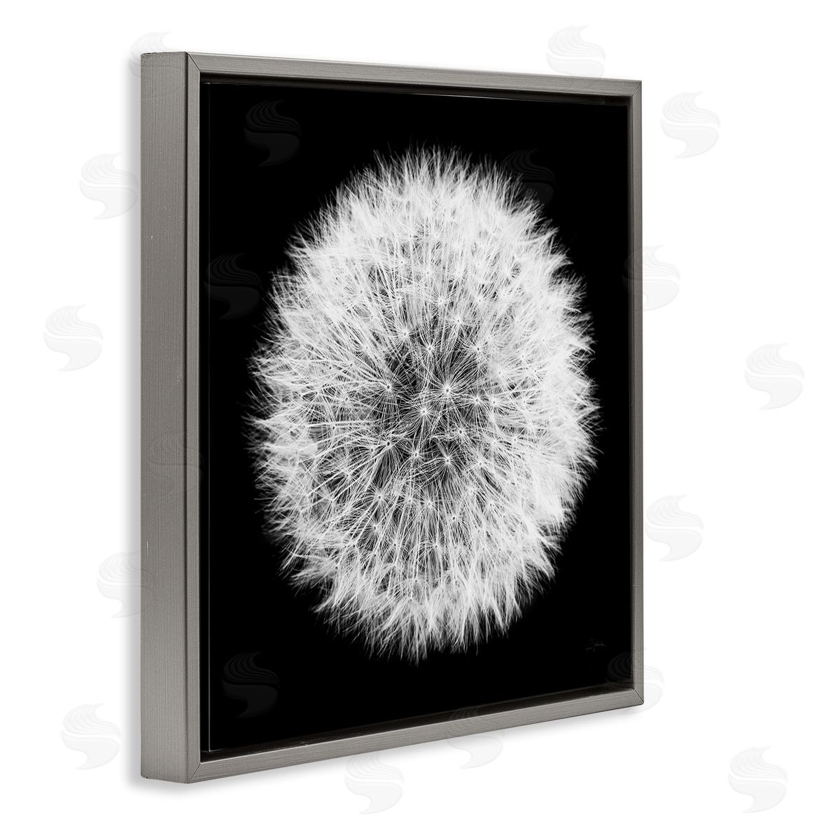 Dandelion Black & White Photograph Grey Floating Frame Canvas Wall Art, Home Decor by Aledanda