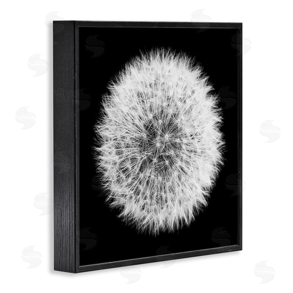 Dandelion Black & White Photograph Black Frame Print Wall Art, Home Decor by Aledanda