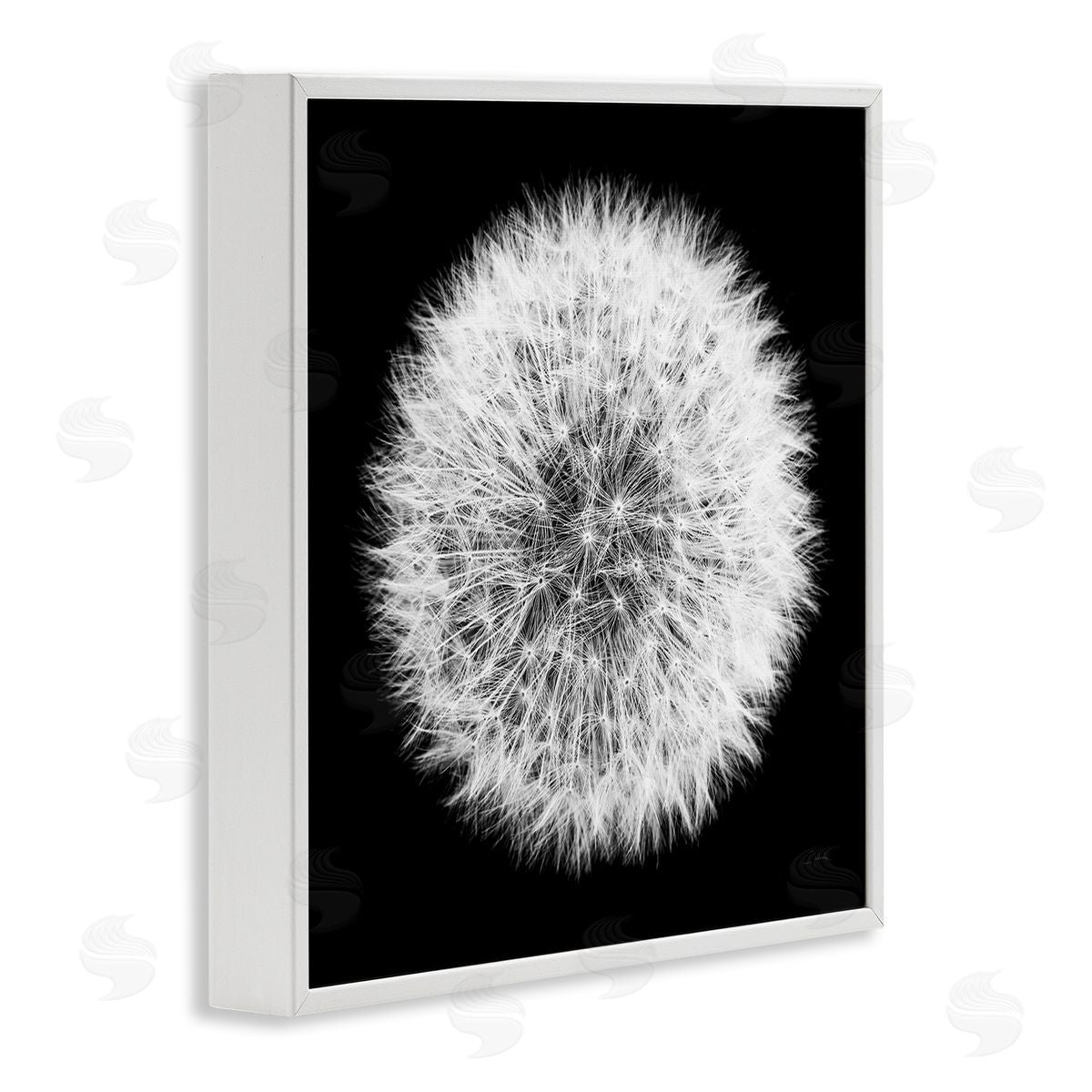 Dandelion Black & White Photograph White Frame Print Wall Art, Home Decor by Aledanda