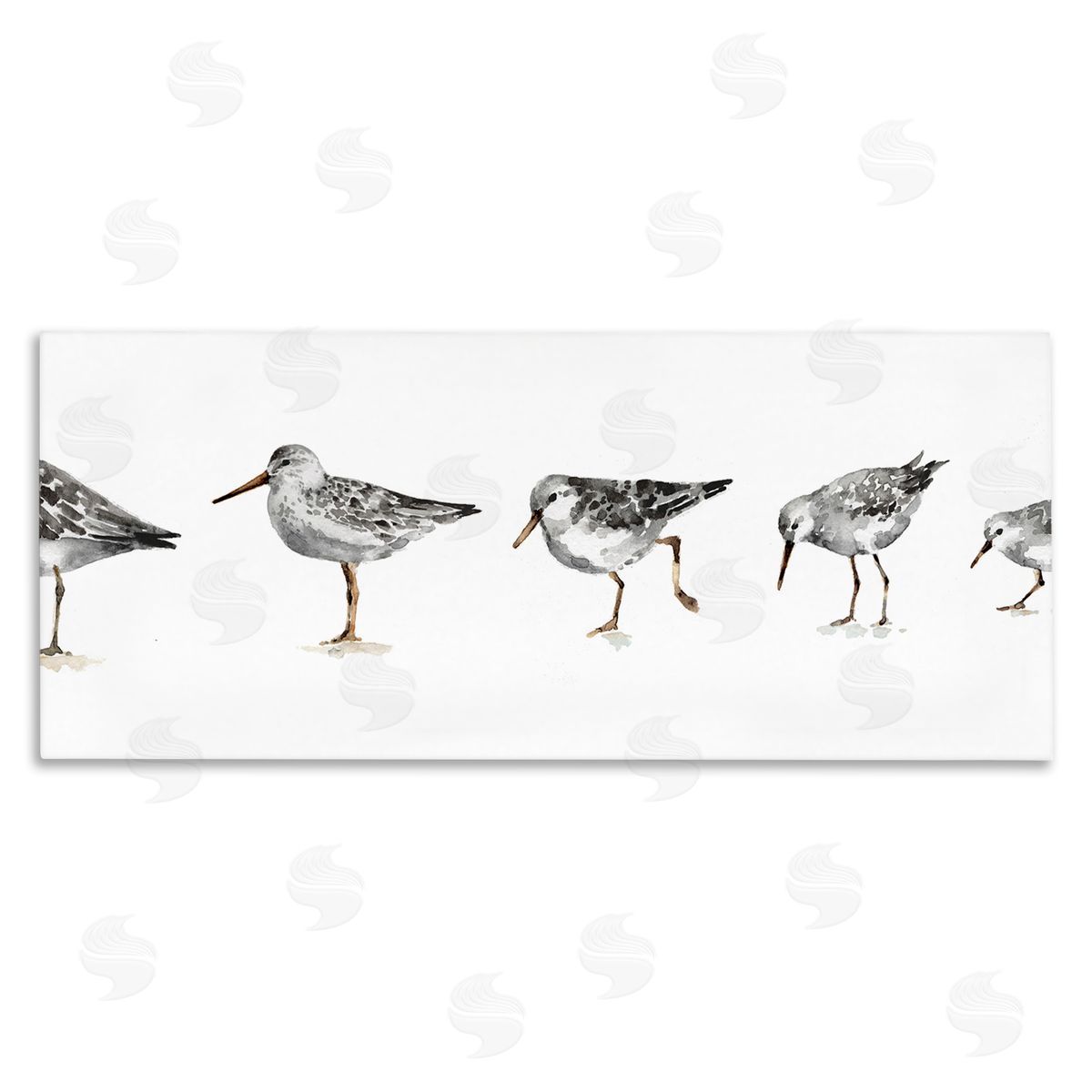 Sandpiper Birds in Line Canvas Wall Art, Home Decor by Lisa Audit