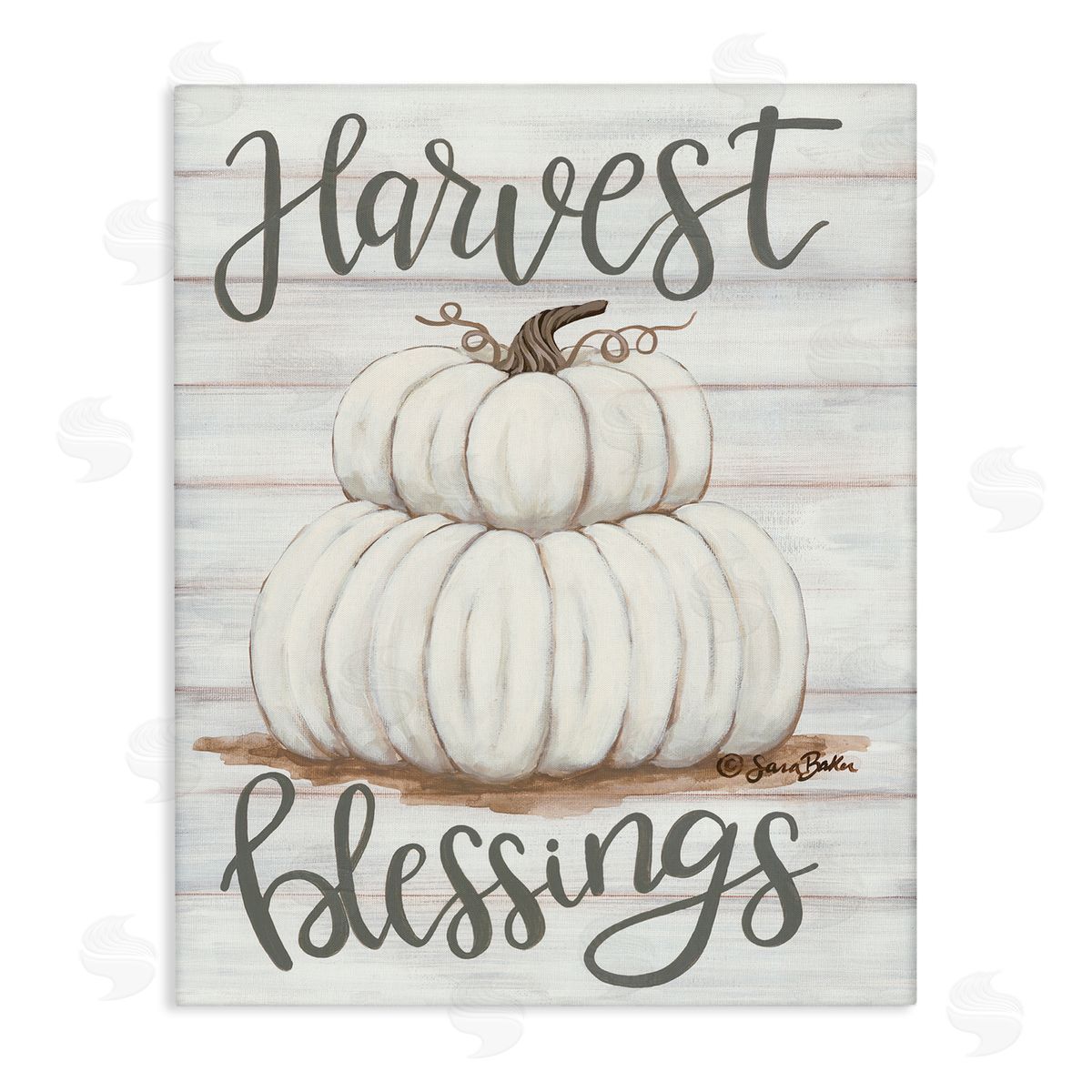Harvest Belssings White Pumpkins Canvas Wall Art, Home Decor by Sarah Baker