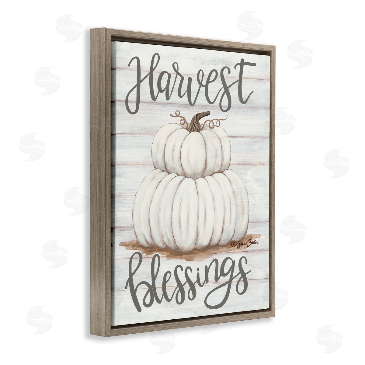 Harvest Belssings White Pumpkins Brown Floating Frame Canvas Wall Art, Home Decor by Sarah Baker