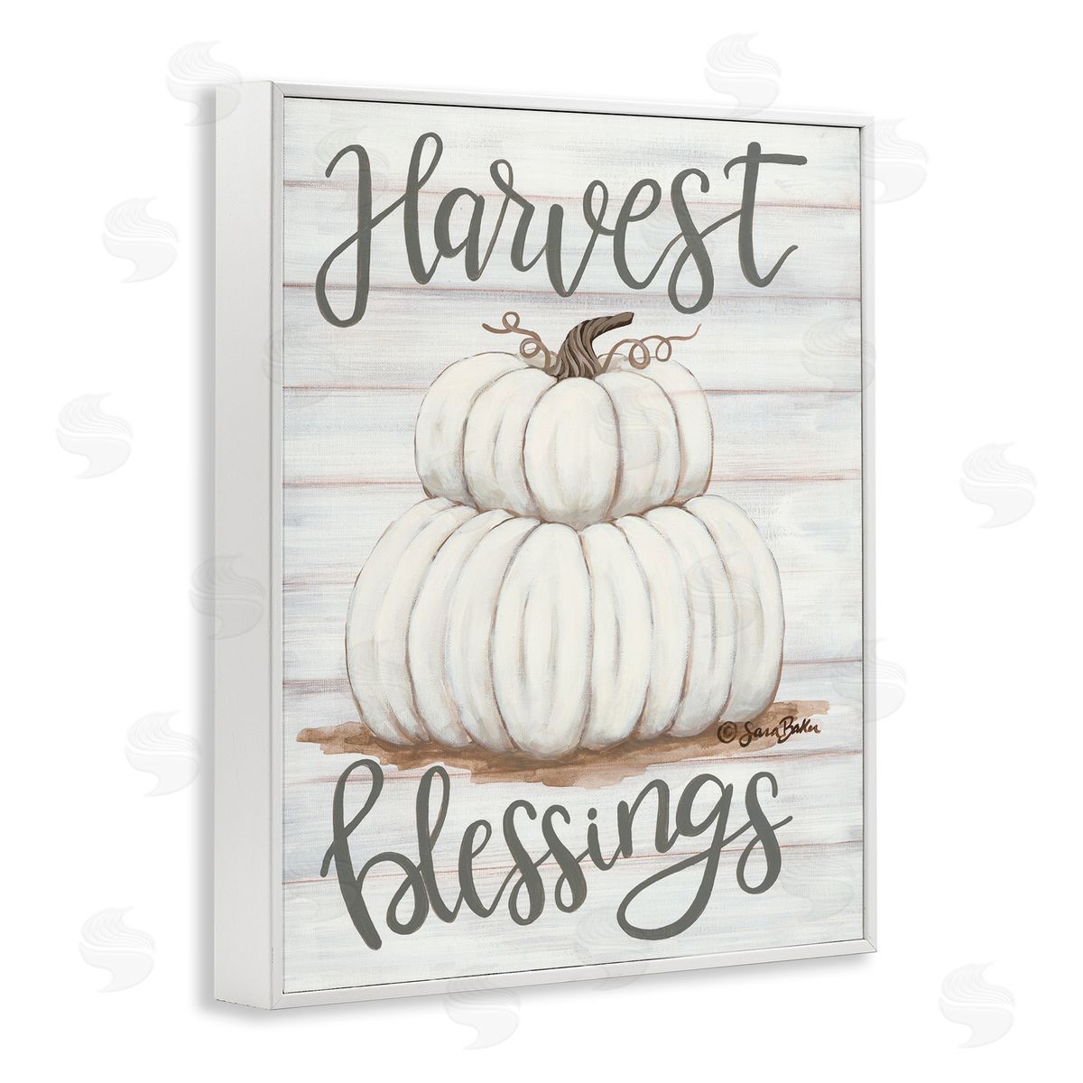 Harvest Belssings White Pumpkins White Frame Print Wall Art, Home Decor by Sarah Baker