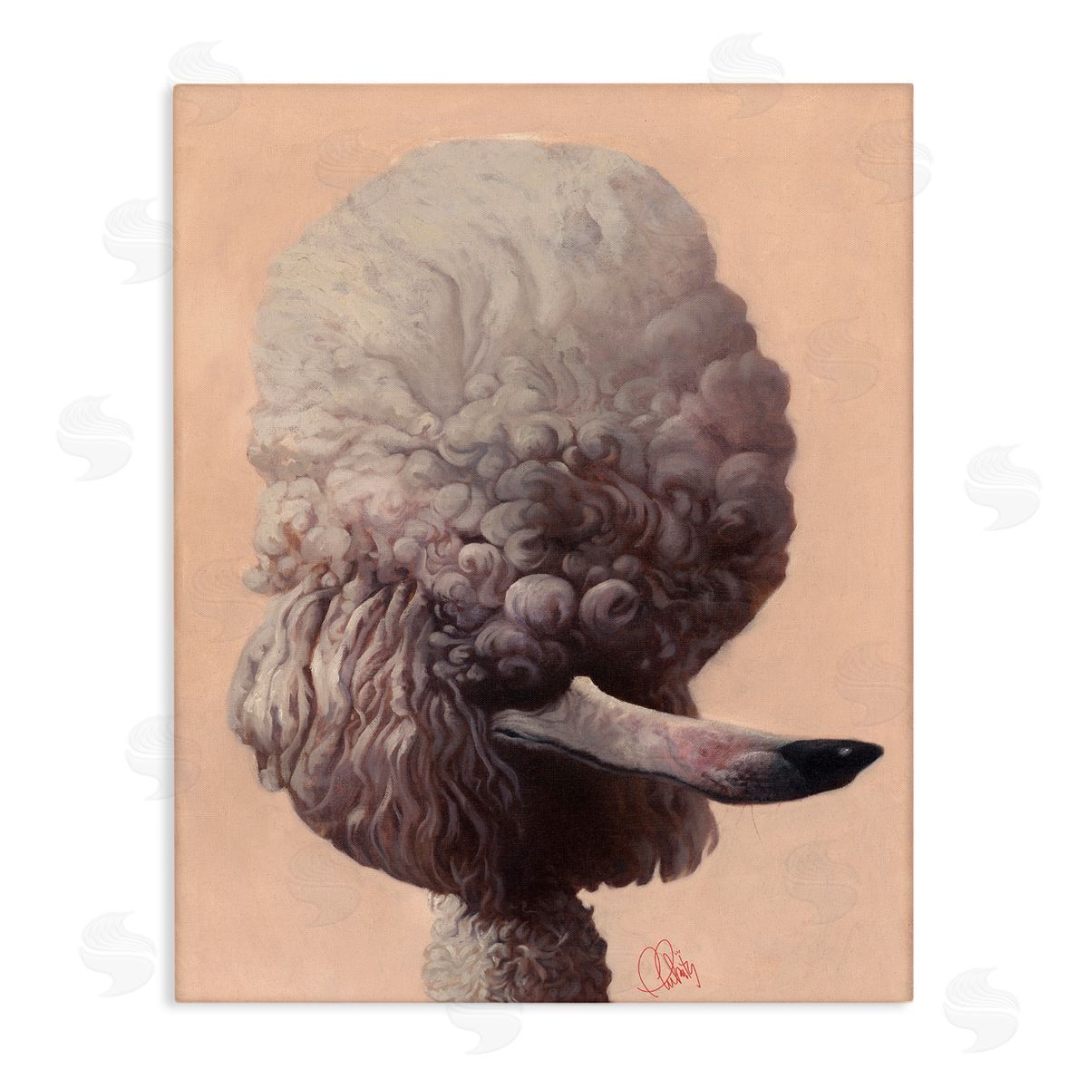 Poodle Afro Funny Dog Canvas Wall Art, Home Decor by Thomas Fluharty