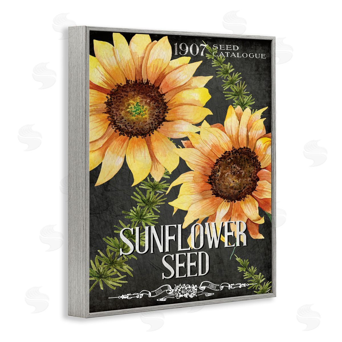 Sunflower Seed Vintage Poster Grey Frame Print Wall Art, Home Decor by Kim Allen