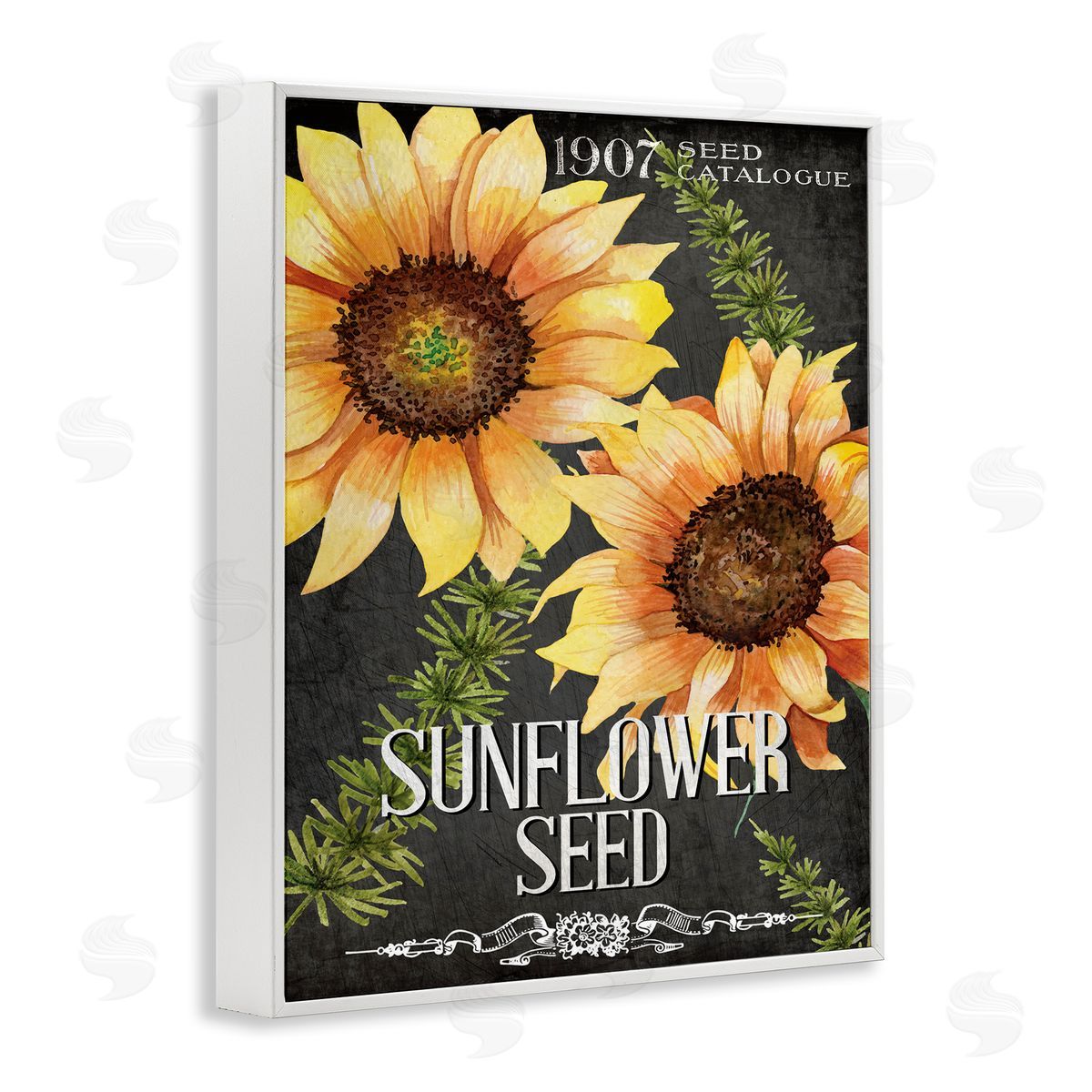 Sunflower Seed Vintage Poster White Frame Print Wall Art, Home Decor by Kim Allen