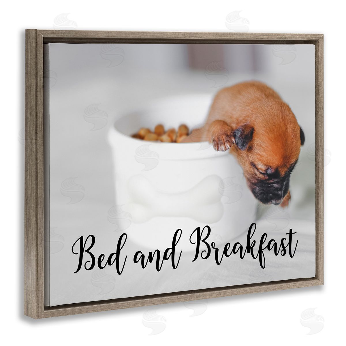 Bed and Breakfast Funny Dog Brown Floating Frame Canvas Wall Art, Home Decor by Ziwei Li