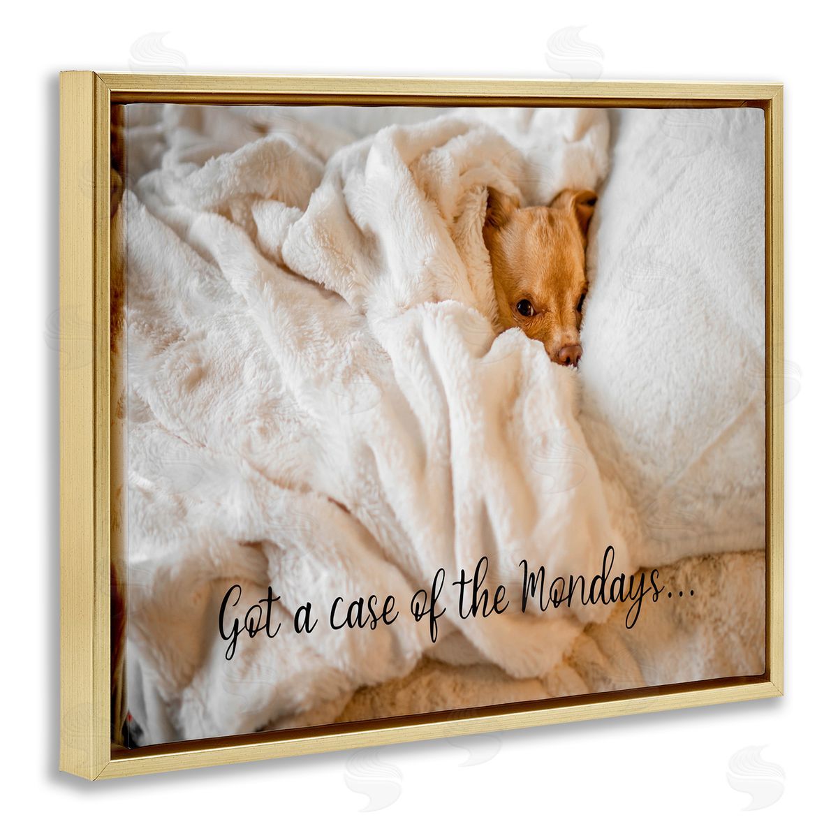 Case of the Mondays Dog Gold Floating Frame Canvas Wall Art, Home Decor by Ziwei Li