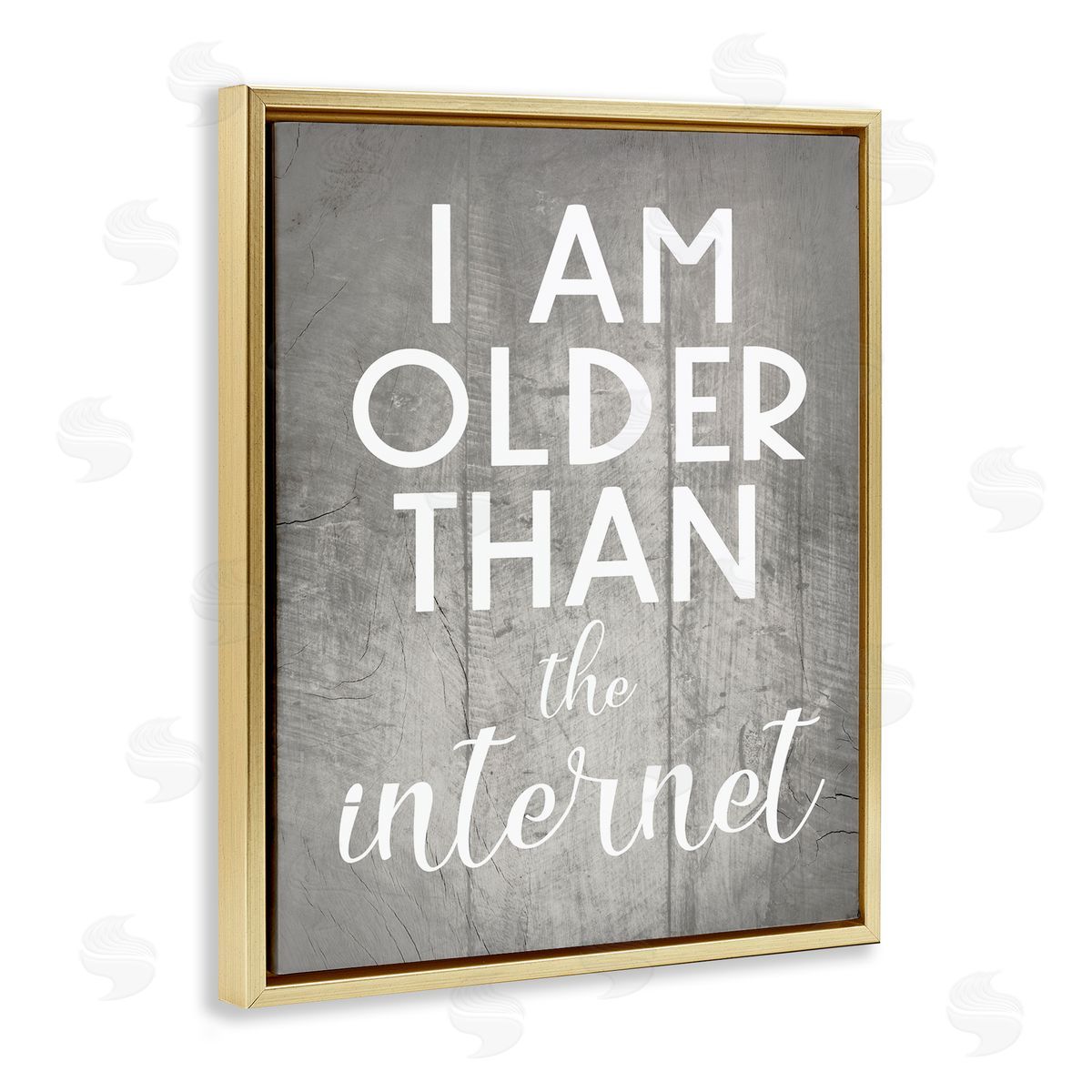 I am Older than the Internet Gold Floating Frame Canvas Wall Art, Home Decor by Stupell Studio