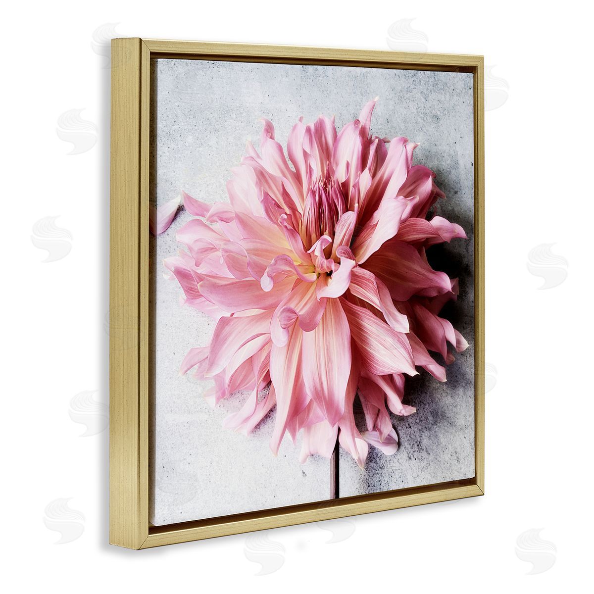 Pink Floral with Curled Petals Gold Floating Frame Canvas Wall Art, Home Decor by Sarah Jane