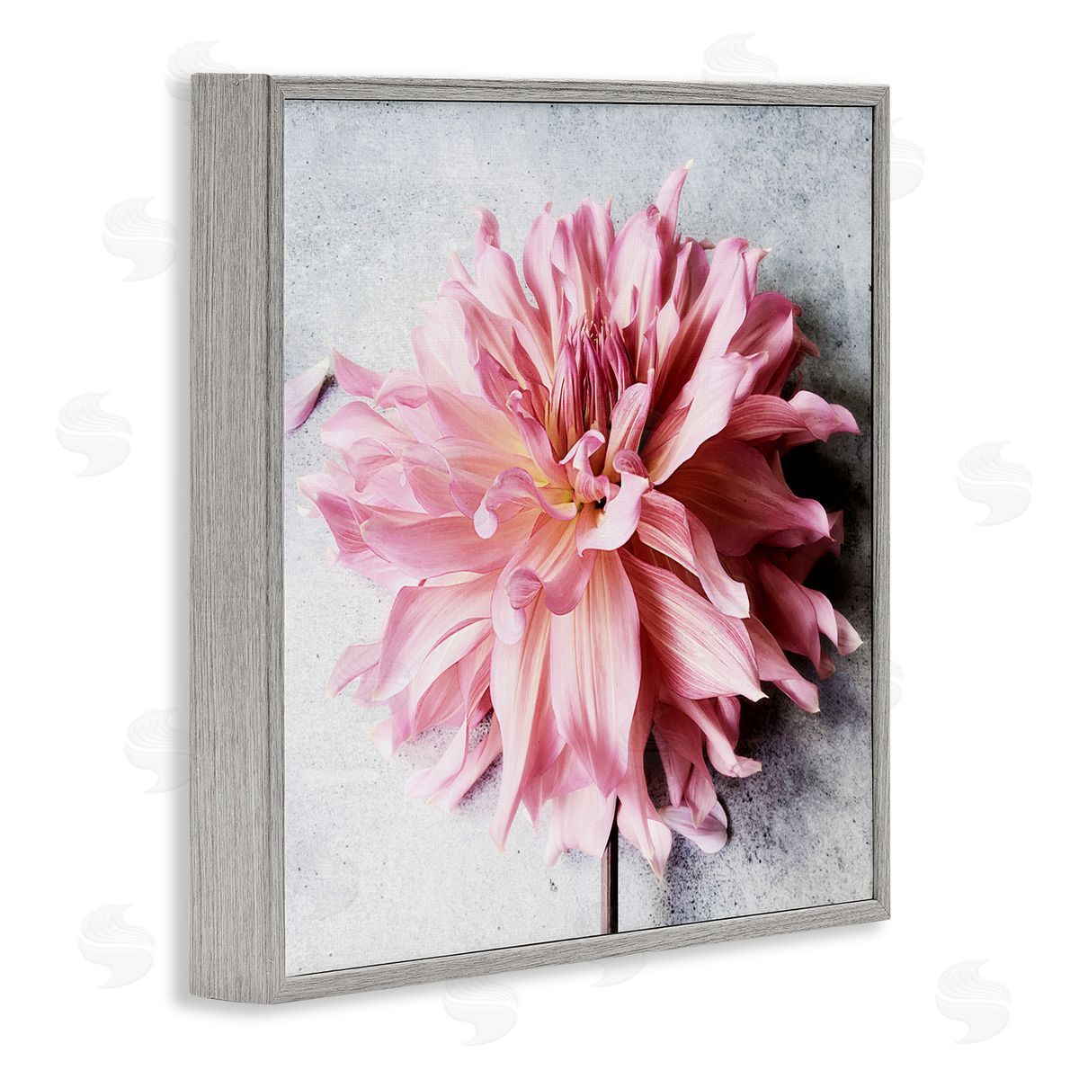 Pink Floral with Curled Petals Grey Frame Print Wall Art, Home Decor by Sarah Jane