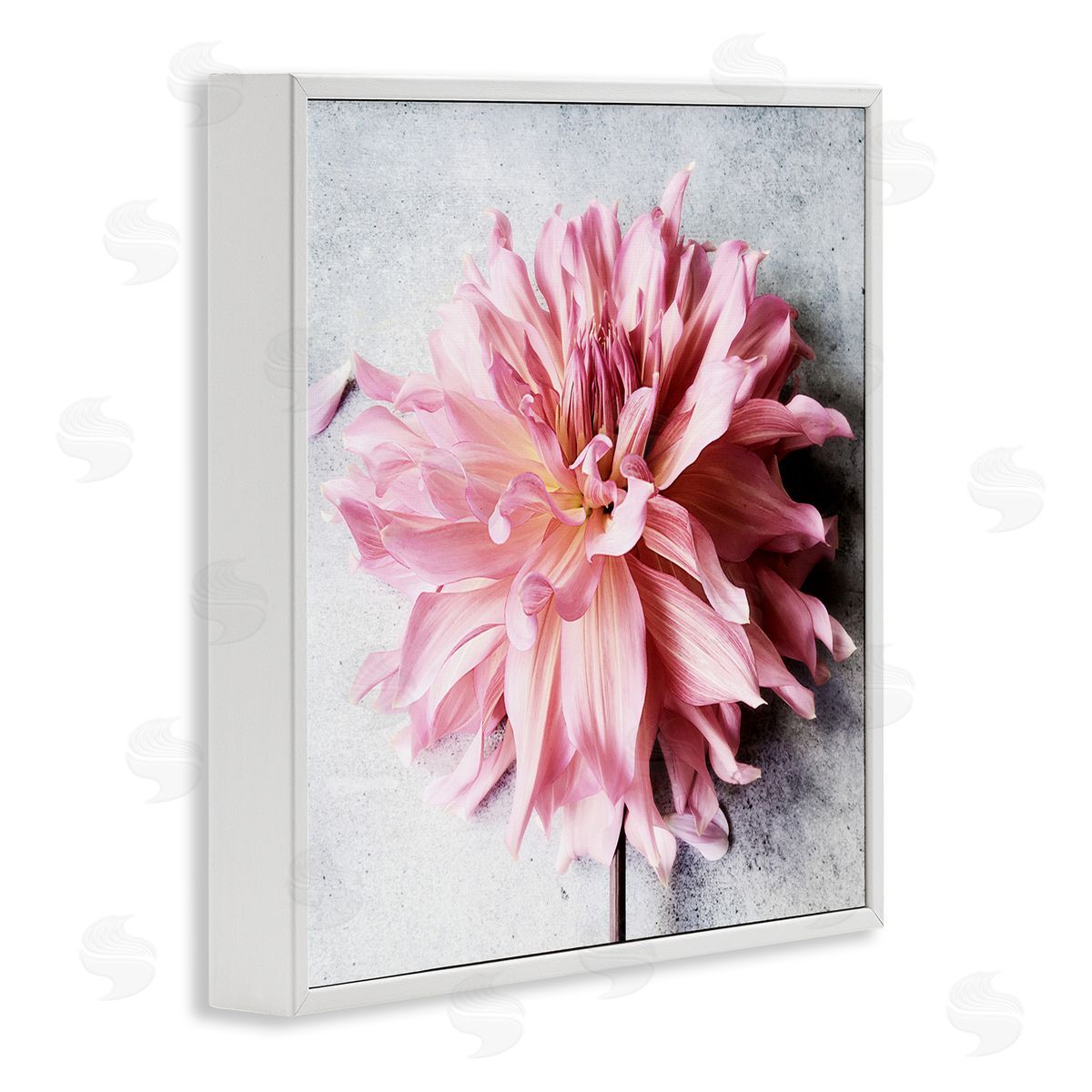 Pink Floral with Curled Petals White Frame Print Wall Art, Home Decor by Sarah Jane