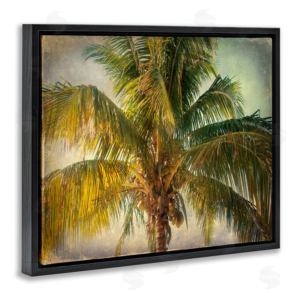 Tropical Summer Palm Tree Black Floating Frame Canvas Wall Art, Home Decor by Ashley Calhoun