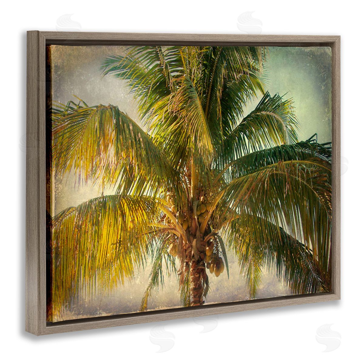 Tropical Summer Palm Tree Brown Floating Frame Canvas Wall Art, Home Decor by Ashley Calhoun