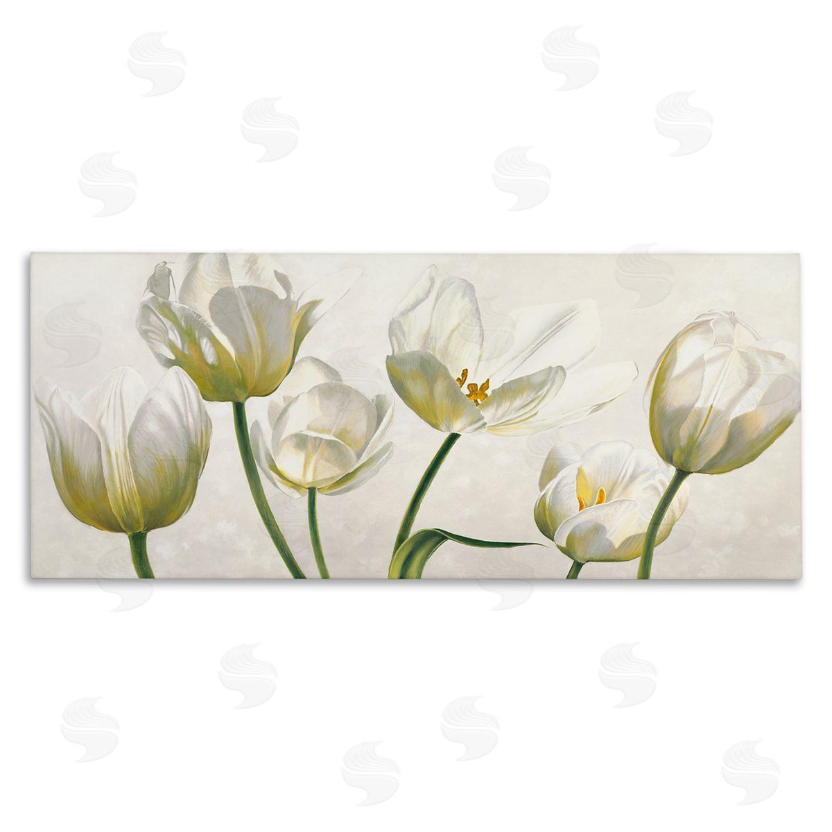 Soft White Blooming Tulips Canvas Wall Art, Home Decor by Eva Barberini