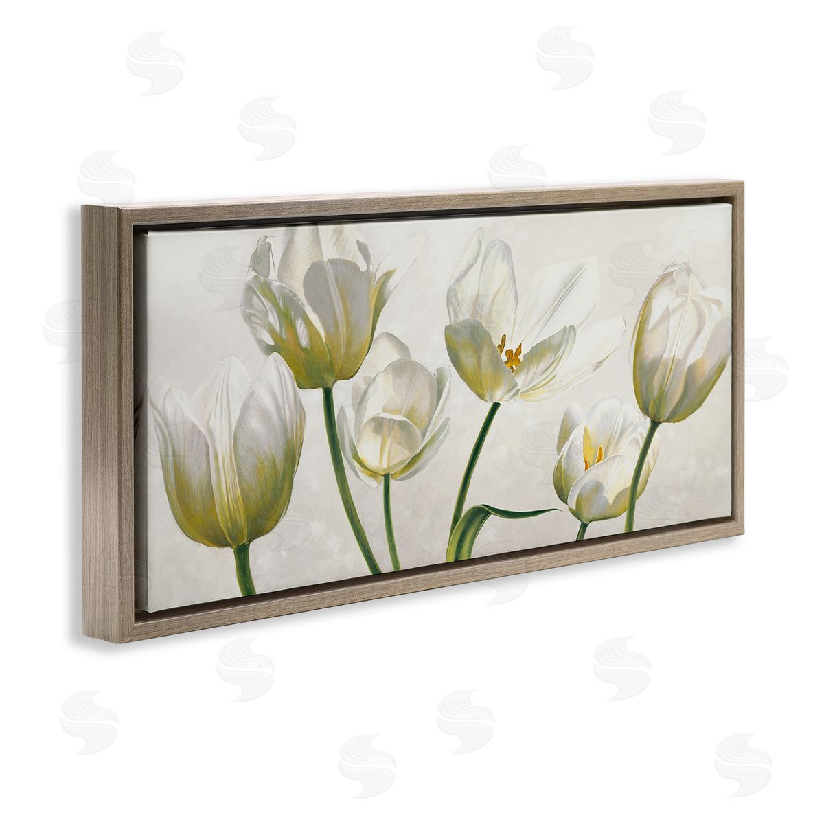 Soft White Blooming Tulips Brown Floating Frame Canvas Wall Art, Home Decor by Eva Barberini