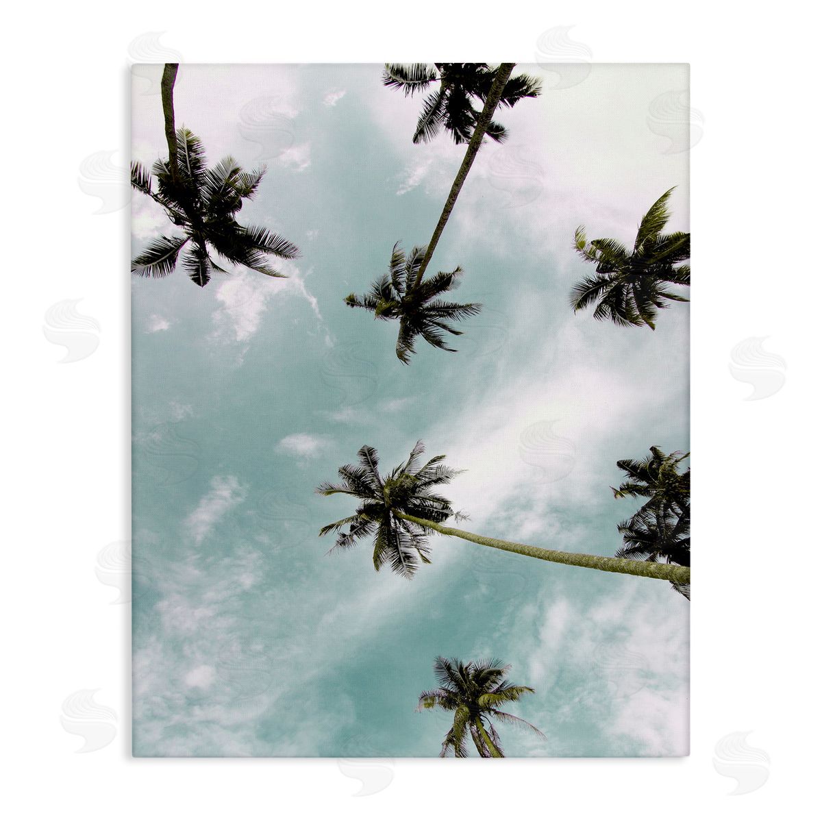 Sky Through Palm Trees Canvas Wall Art, Home Decor by Kim Allen