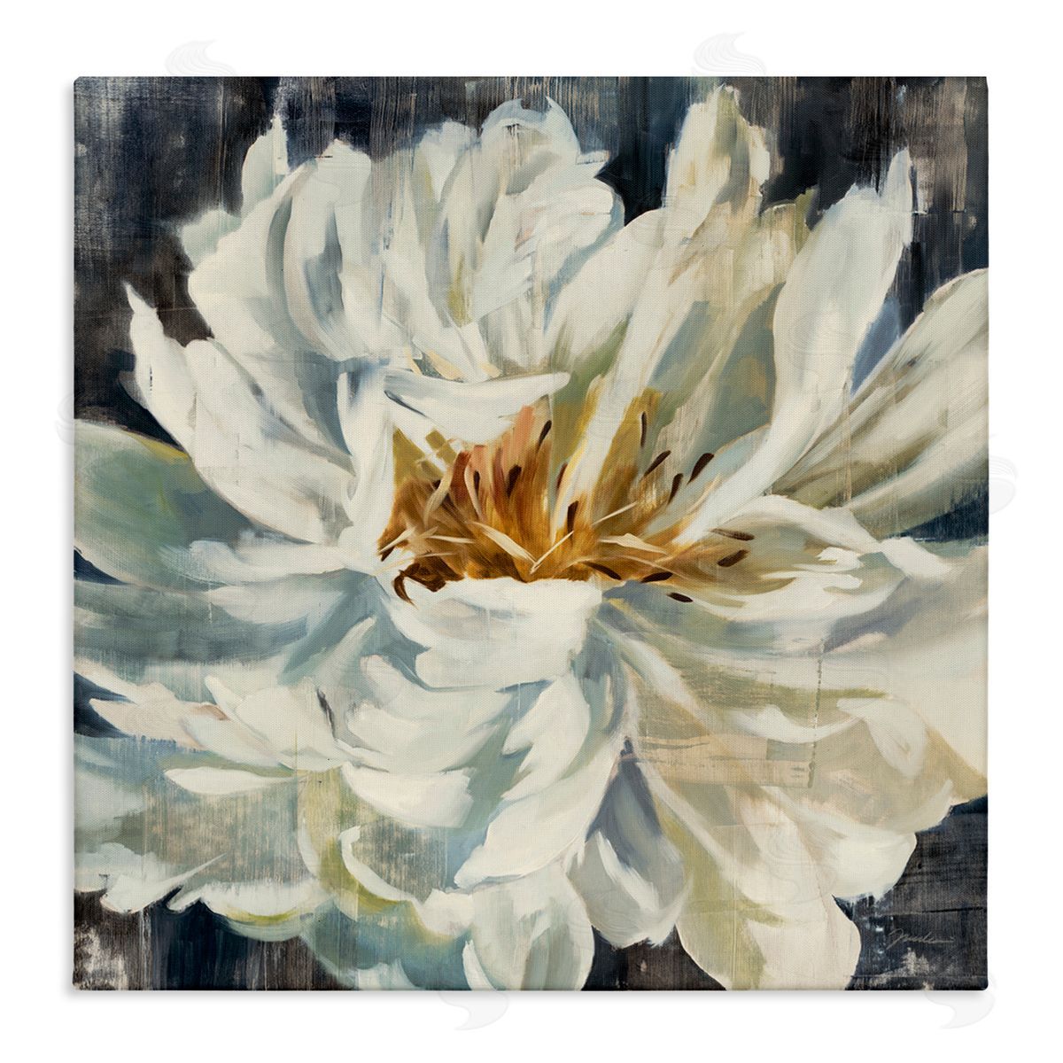 Blooming Flower with White Petals Canvas Wall Art, Home Decor by Liz Jardine