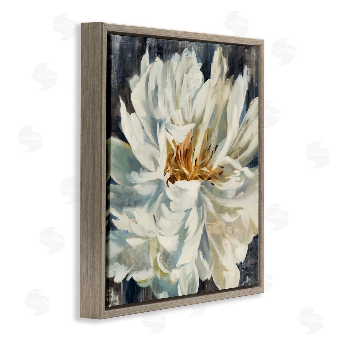 Blooming Flower with White Petals Brown Floating Frame Canvas Wall Art, Home Decor by Liz Jardine