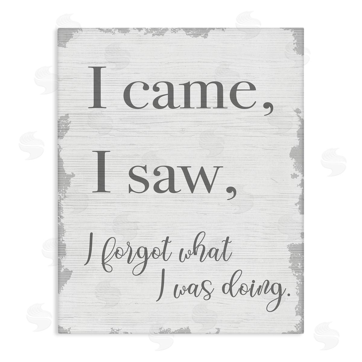 I Came, I Saw, I Forgot Canvas Wall Art, Home Decor by Stupell Studio
