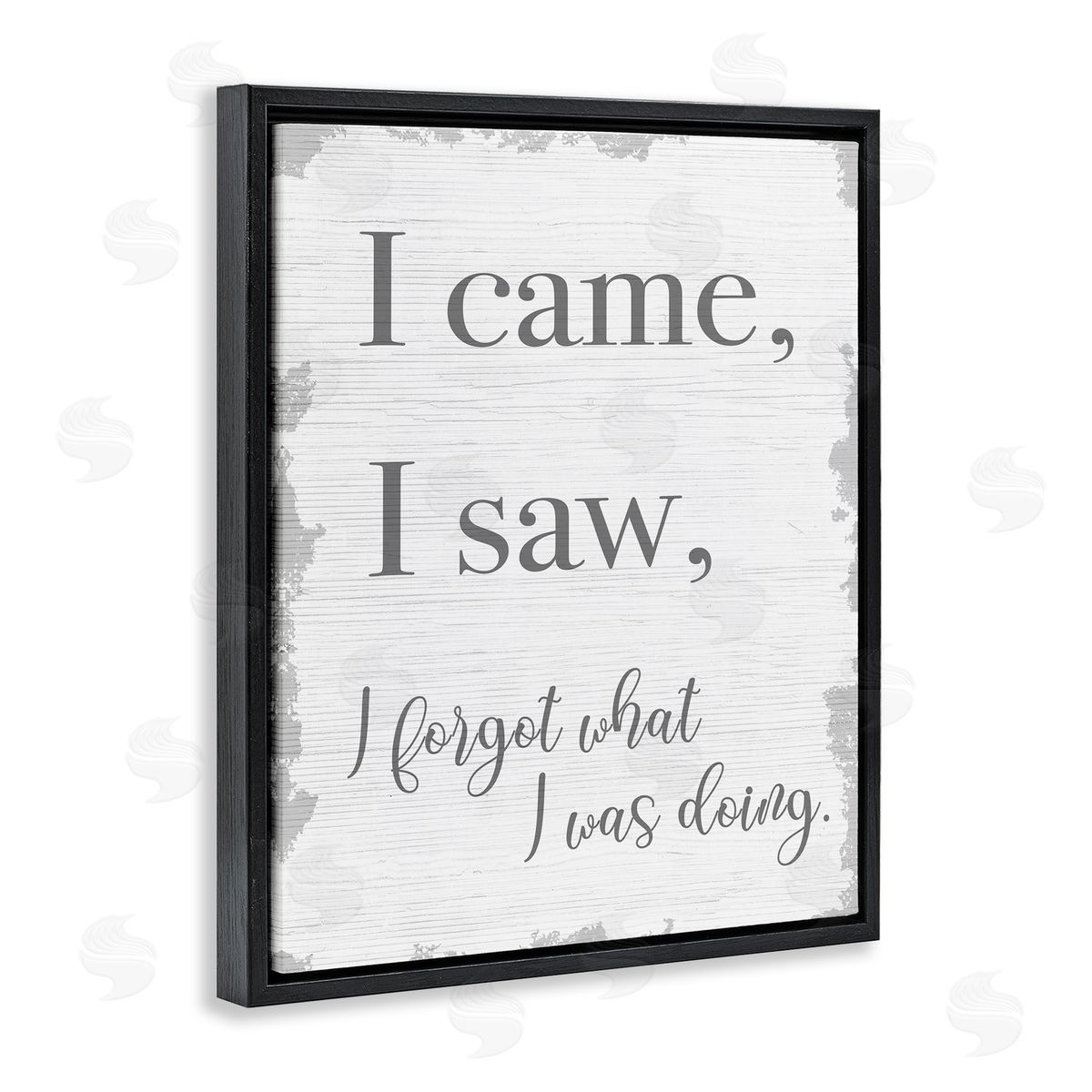 I Came, I Saw, I Forgot Black Floating Frame Canvas Wall Art, Home Decor by Stupell Studio