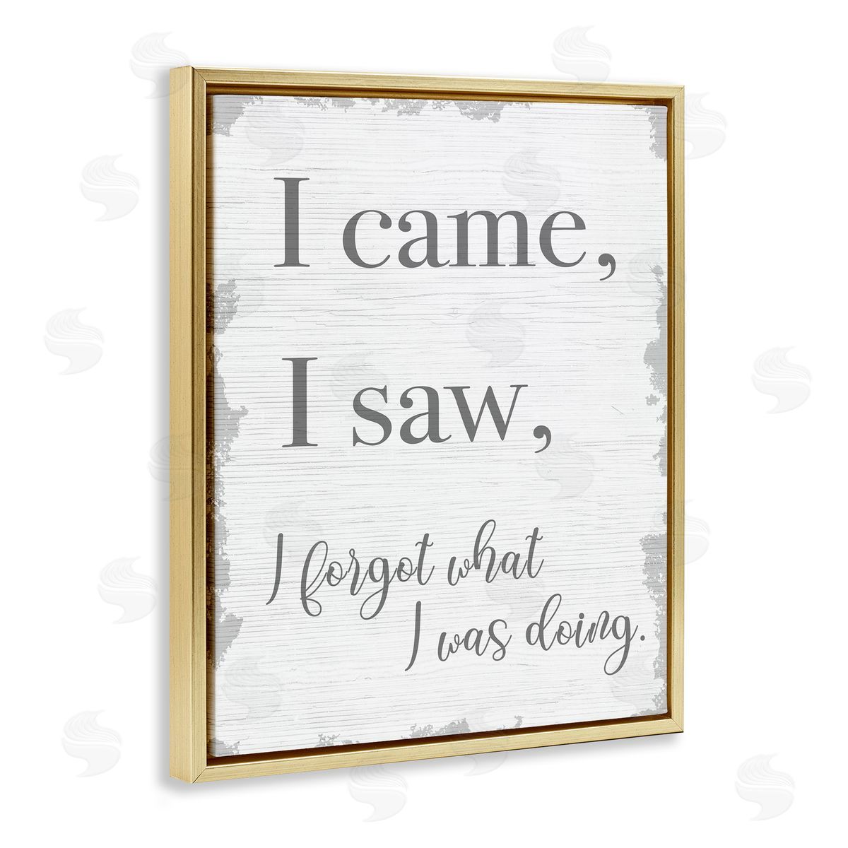 I Came, I Saw, I Forgot Gold Floating Frame Canvas Wall Art, Home Decor by Stupell Studio