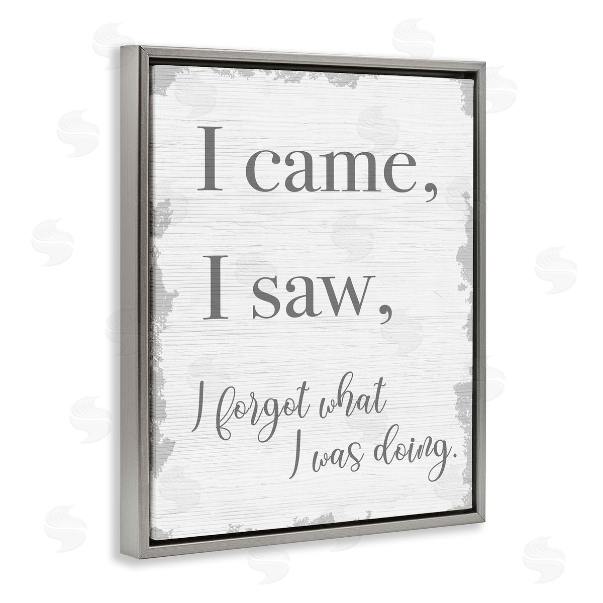 I Came, I Saw, I Forgot Grey Floating Frame Canvas Wall Art, Home Decor by Stupell Studio
