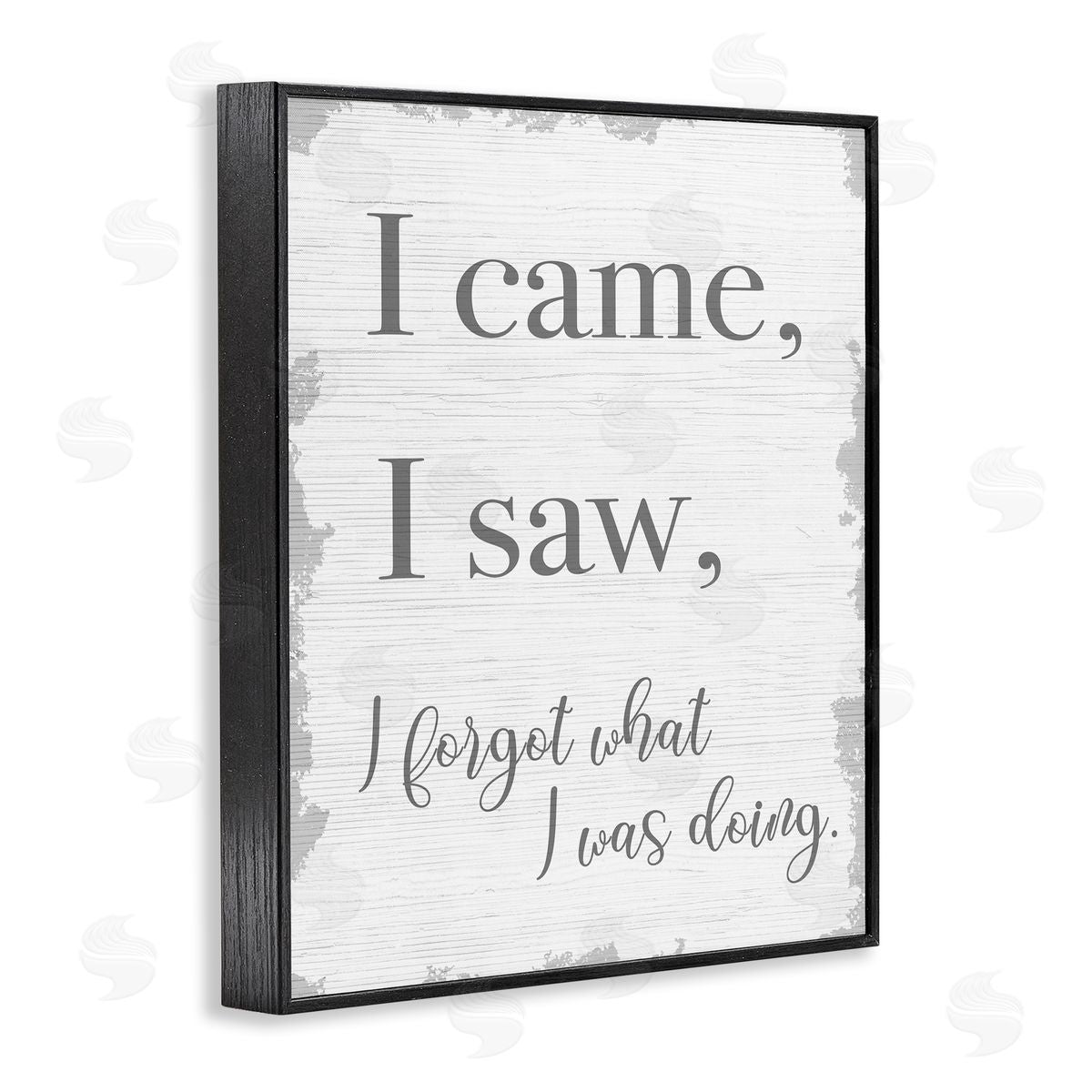 I Came, I Saw, I Forgot Black Frame Print Wall Art, Home Decor by Stupell Studio