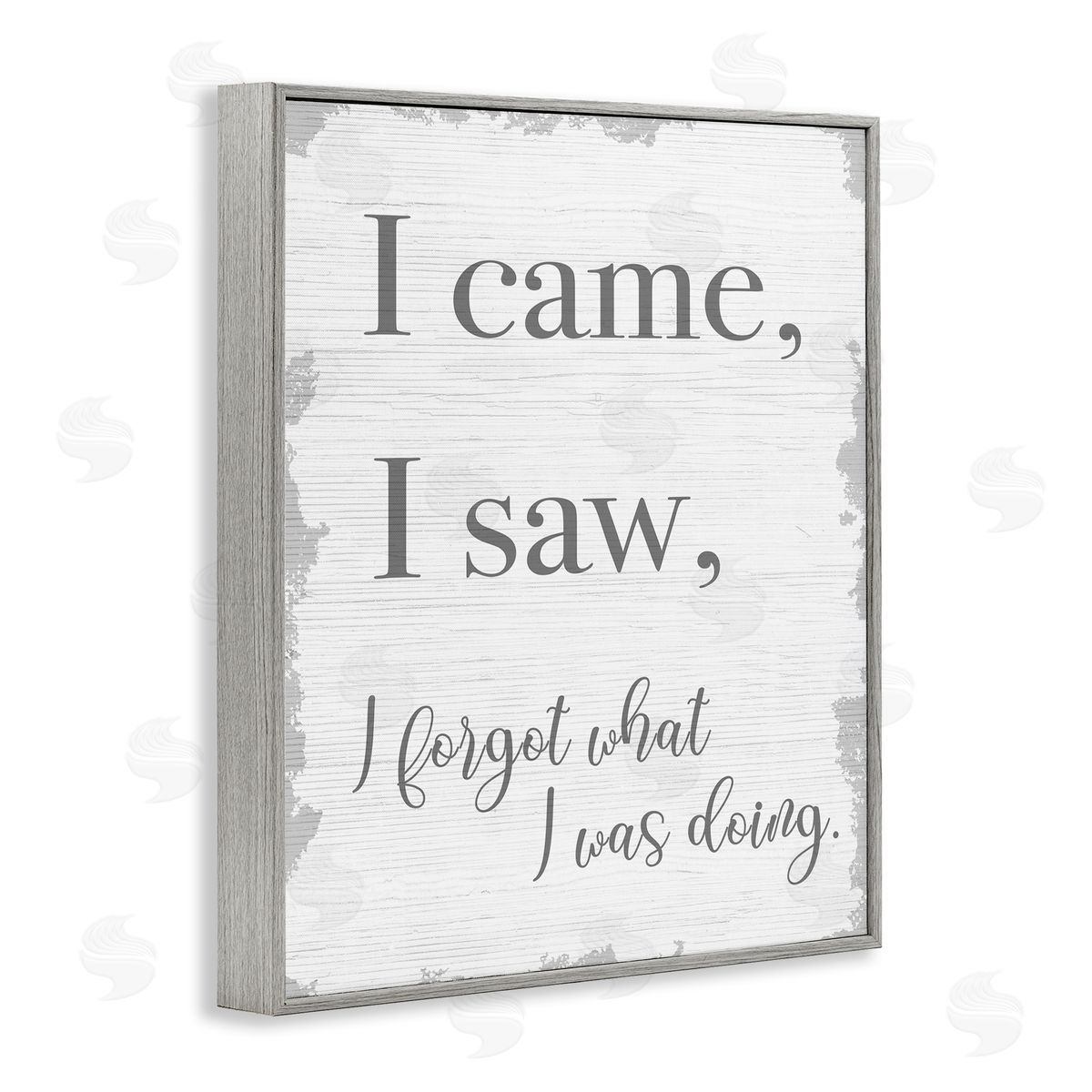 I Came, I Saw, I Forgot Grey Frame Print Wall Art, Home Decor by Stupell Studio