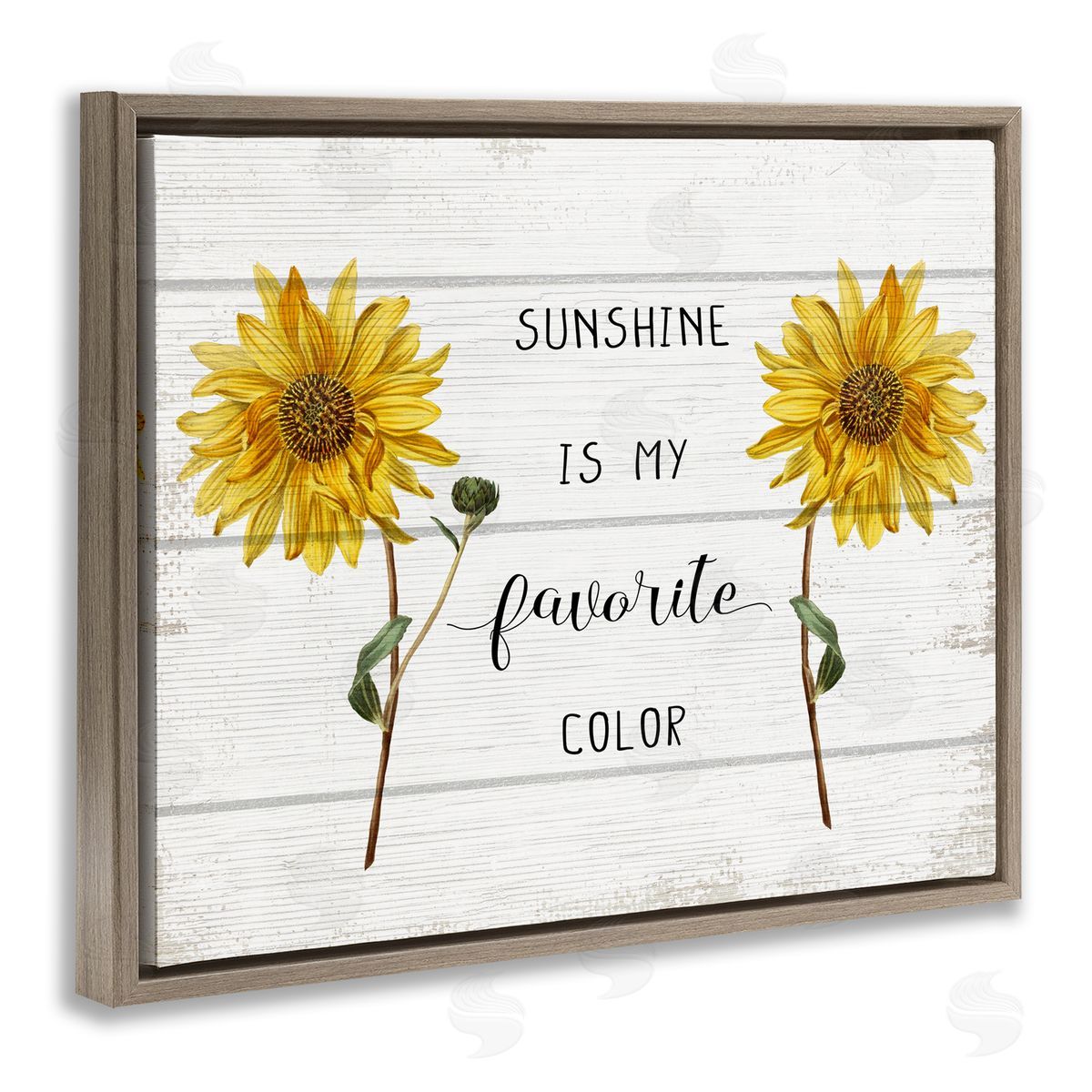 Sunshine is my Favorite Color Brown Floating Frame Canvas Wall Art, Home Decor by Stupell Studio