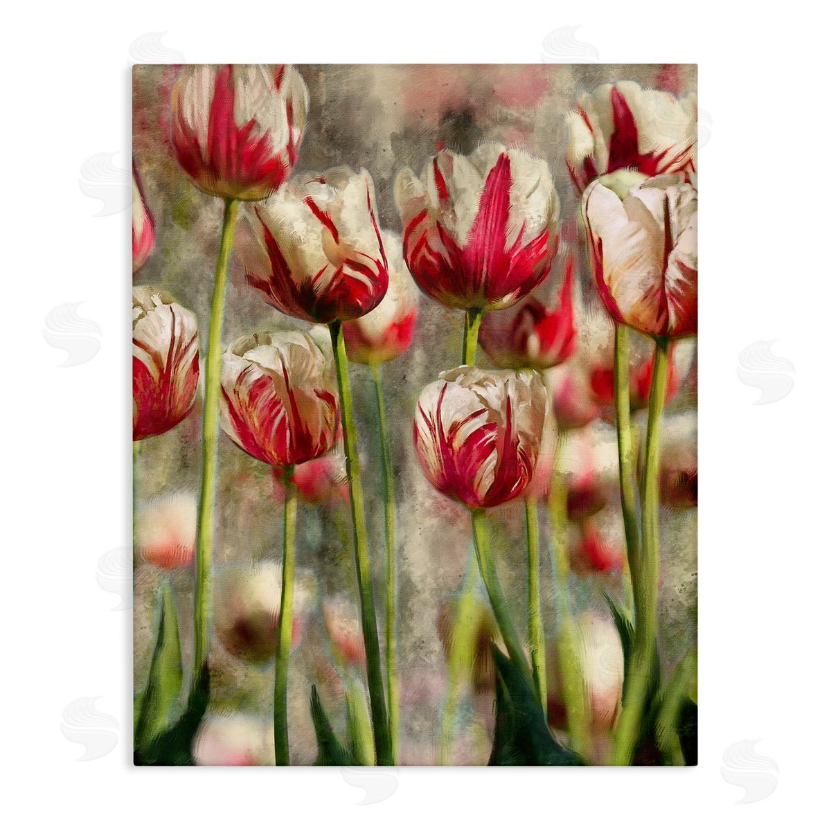 Pink and White Tulips Canvas Wall Art, Home Decor by Ziwei Li