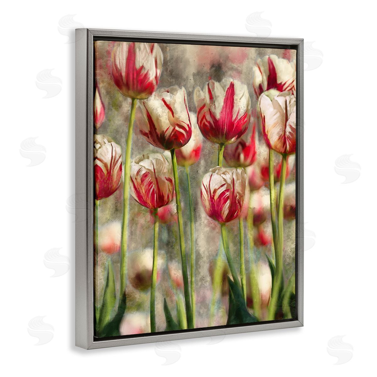 Pink and White Tulips Grey Floating Frame Canvas Wall Art, Home Decor by Ziwei Li